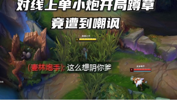 对线上单小炮开局蹲草竟遭到嘲讽！