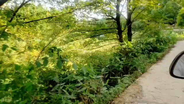 【2021-07-12 07点场】魅力生活i：早上8点收地笼