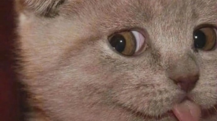 ٩(๑•ㅂ•)۶