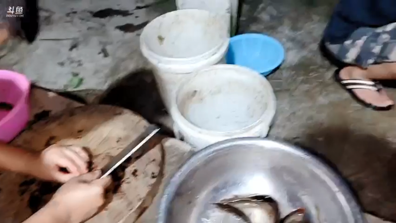 【2021-07-13 19点场】洪湖小肖：神器搞泥鳅