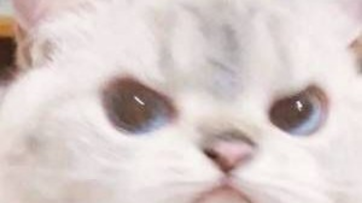 全场高能