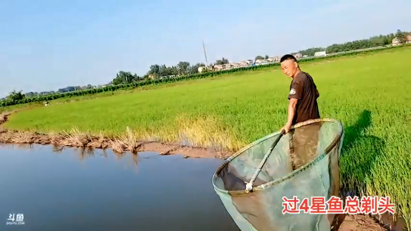 【2021-07-13 17点场】洪湖小肖：神器搞泥鳅