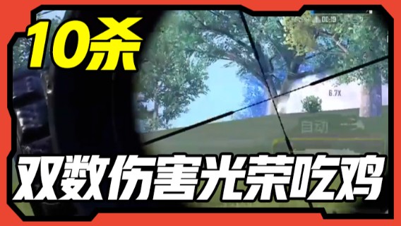 10杀，双数伤害光荣吃鸡