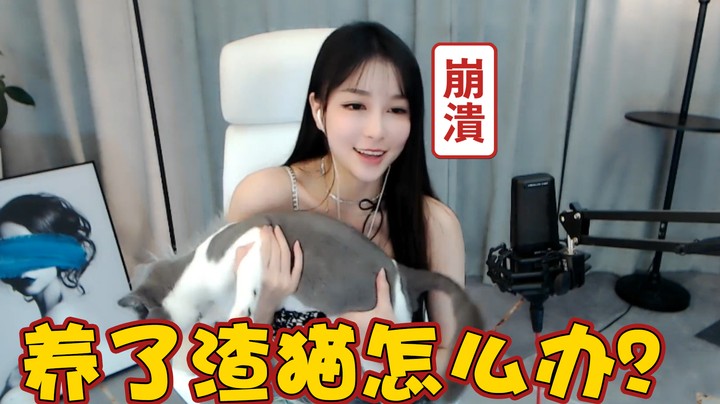 养了渣猫怎么办？【湖南小橙子】