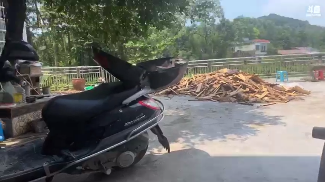 【2021-07-13 11点场】魅力生活i：快乐打野开心美食