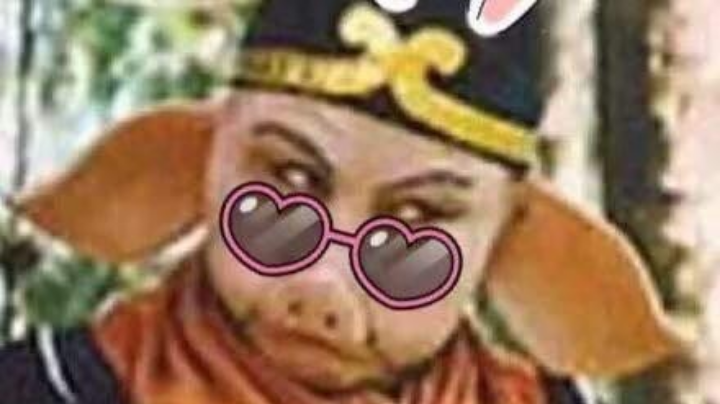 ✧*｡٩(ˊᗜˋ*)و✧*｡