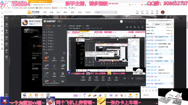 【2021-07-12 23点场】一只小小流浪猫：小菜鸟出没，请注意！！！