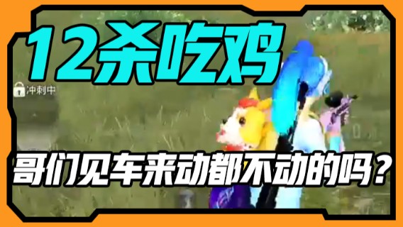 12杀吃鸡，哥们，见车来动都不动的吗？