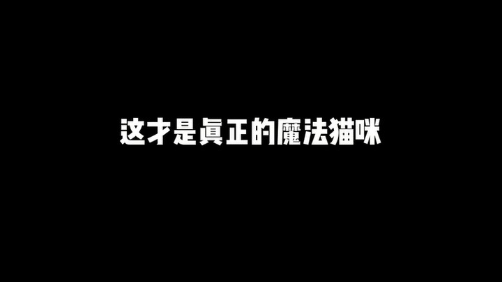 憨憨：就你说我是黑猫警长是吧