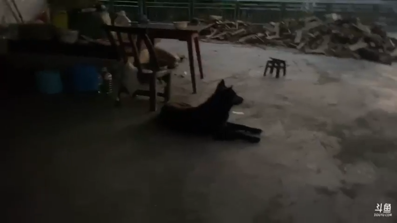 【2021-07-13 19点场】魅力生活i：晚上看见啥怼啥