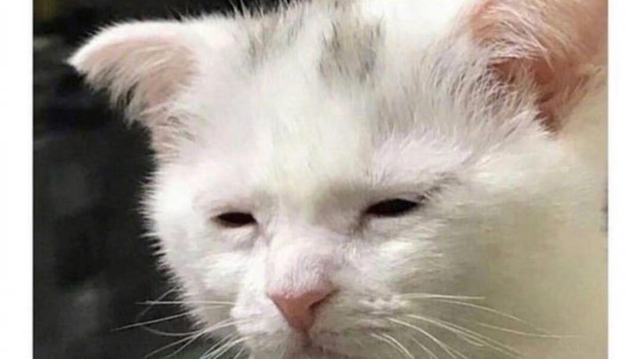 催眠