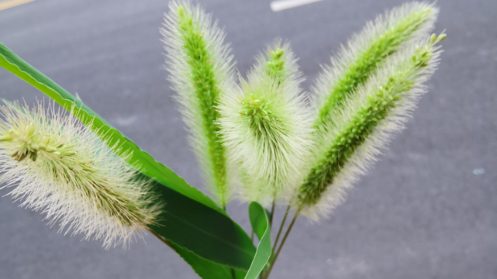好兄弟相互扶持