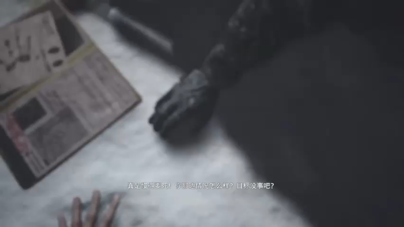 生化危机8[恶灵古堡]流程攻略 中文对白1- (4)