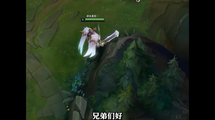 盖伦的几句心里话