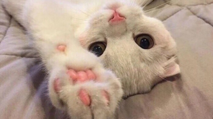 _