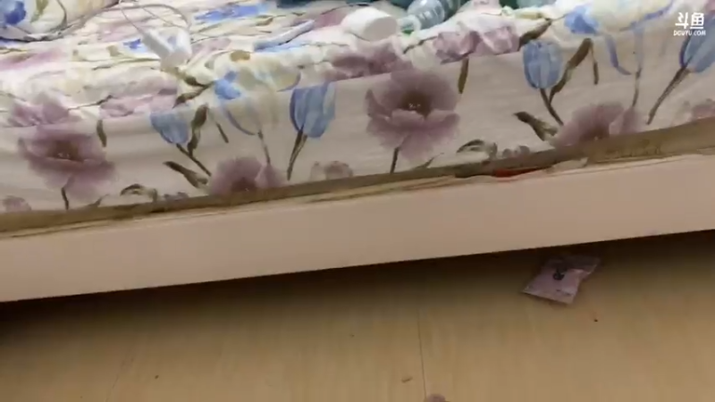 【2021-07-14 23点场】魅力生活i：晚上寻找甲鱼