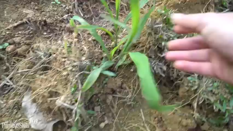 E62手工工具钳子及水果刀2【真人我的世界-空手发展-单人炼铁】