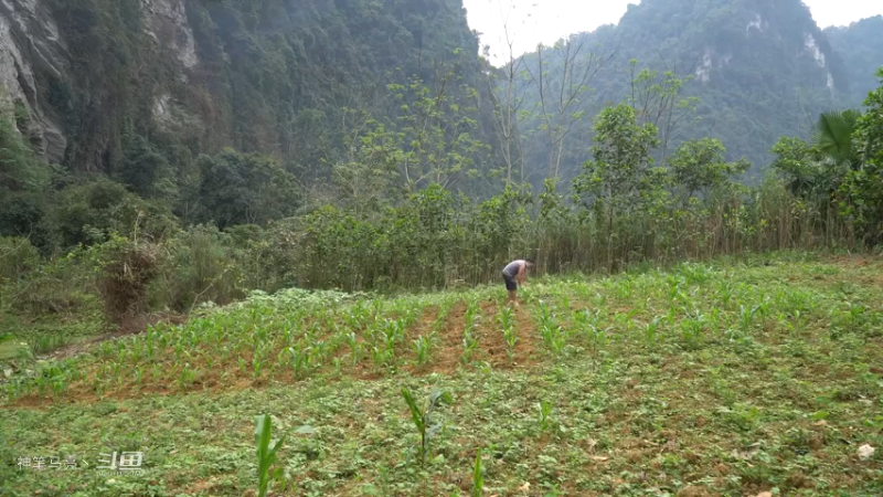 E67锻造锄头种植玉米14【真人我的世界-空手发展-单人炼铁】