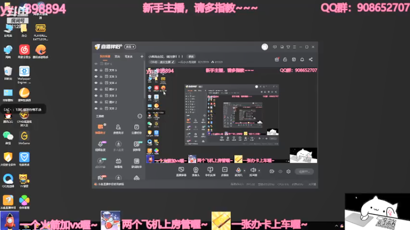 【2021-07-13 21点场】一只小小流浪猫：小菜鸟出没，请注意！！！