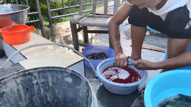 【2021-07-14 19点场】魅力生活i：晚上盘龙干锅鲑鱼