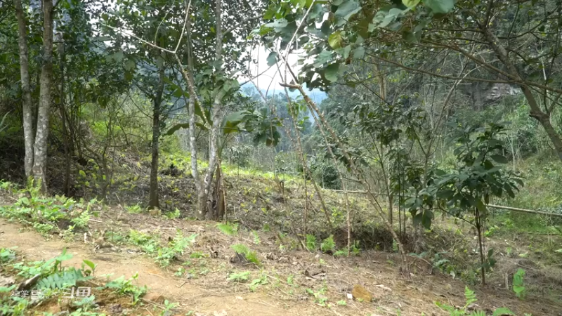 E65土提石墙及耕种1【真人我的世界-空手发展-单人炼铁】