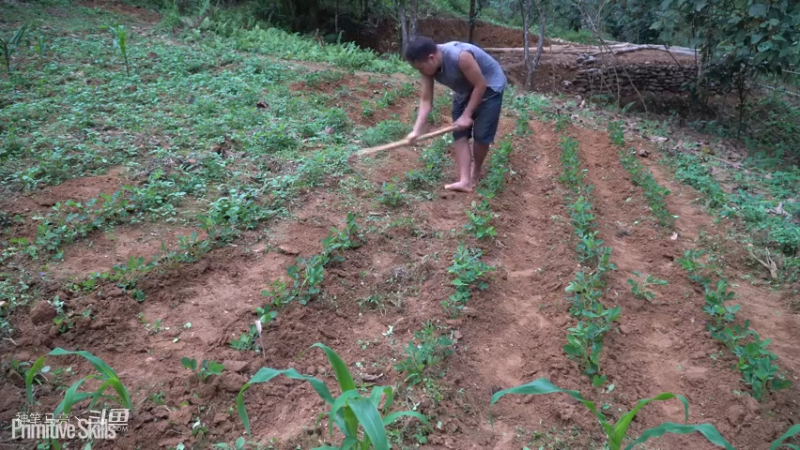 E67锻造锄头种植玉米15【真人我的世界-空手发展-单人炼铁】