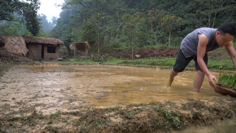 E68务农二季的稻子10【真人我的世界-空手发展-单人炼铁】