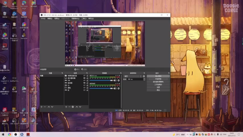 【2021-07-13 19点场】阿狸ALiovo：阿狸：单排冲榜