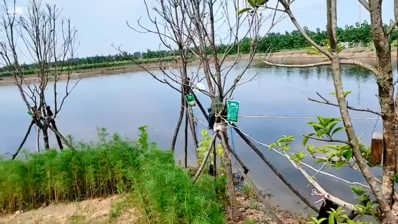 【2021-07-14 15点场】洪湖小肖：燕窝乡村牛人秀（海选赛）6点