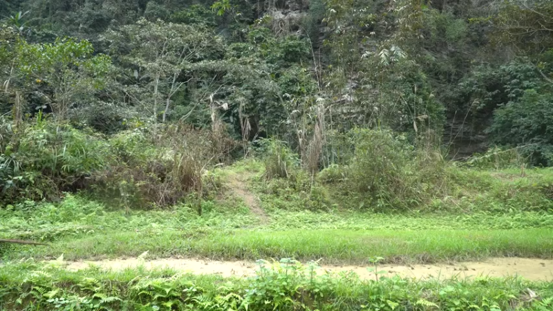 E68务农二季的稻子1【真人我的世界-空手发展-单人炼铁】