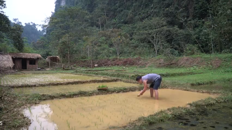 E68务农二季的稻子12【真人我的世界-空手发展-单人炼铁】