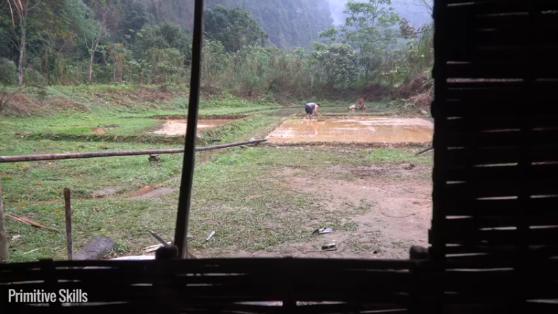 E68务农二季的稻子11【真人我的世界-空手发展-单人炼铁】