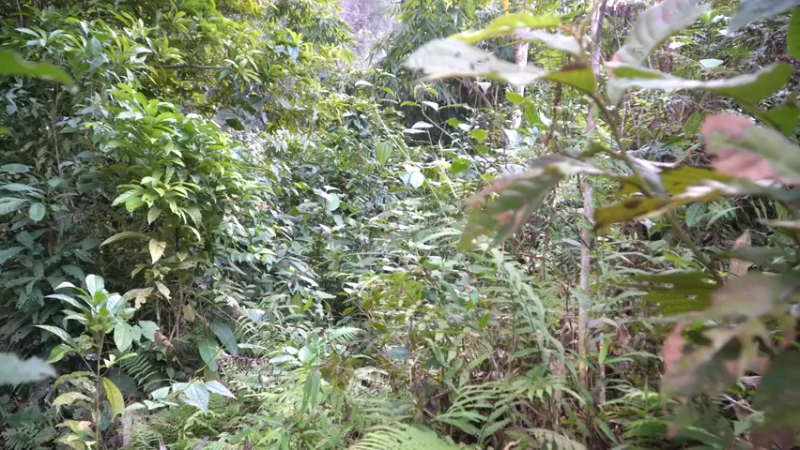 E59高炉制作1又要炼铁的节奏【真人我的世界-空手发展-单人炼铁】