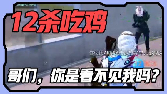 12杀吃鸡，哥们，你是看不见我吗？？？