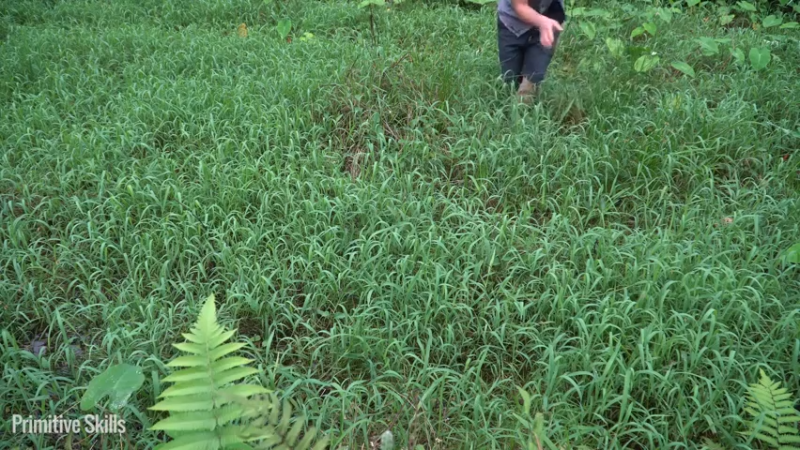 E68务农二季的稻子13【真人我的世界-空手发展-单人炼铁】