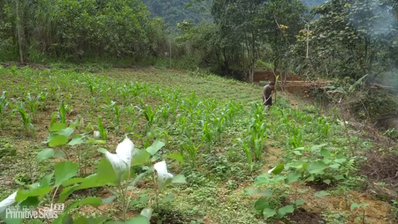 E67锻造锄头种植玉米12【真人我的世界-空手发展-单人炼铁】