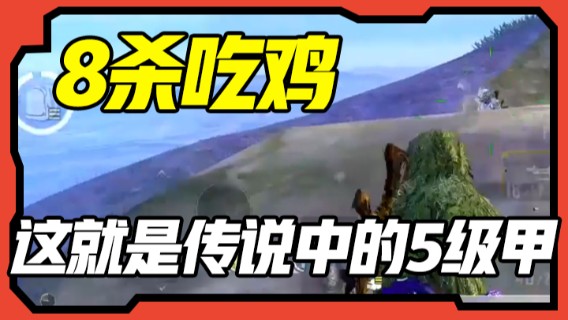 8杀吃鸡，兄弟们，这就是传说中的5级甲