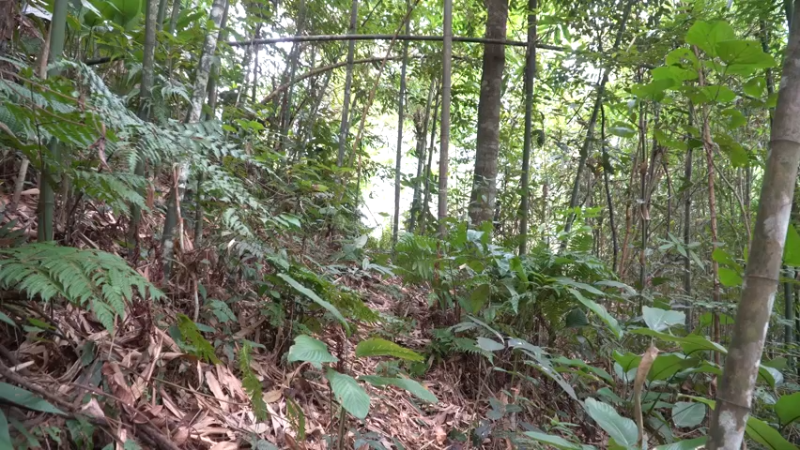 E70第一件木屋1【真人我的世界-空手发展-单人炼铁】