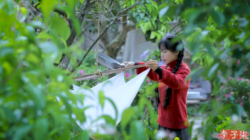 【美食】李子柒liziqi的精彩时刻 20210714 09点场