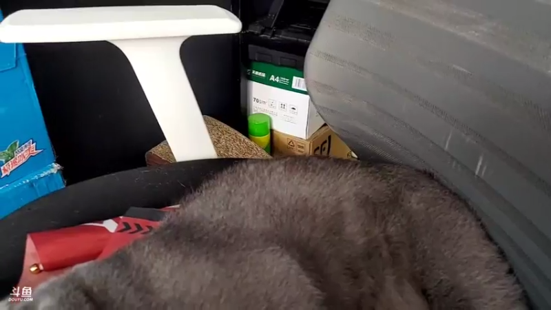 【2021-07-14 16点场】RW侠Djie：带大家看看世冠抽签的一天