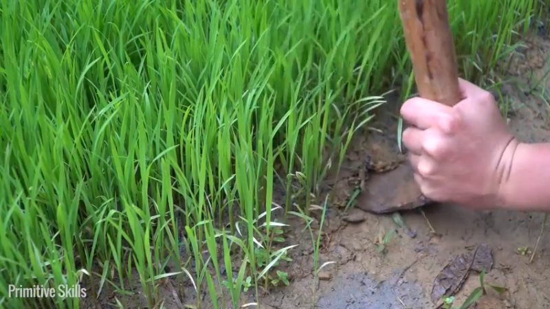 E68务农二季的稻子8【真人我的世界-空手发展-单人炼铁】