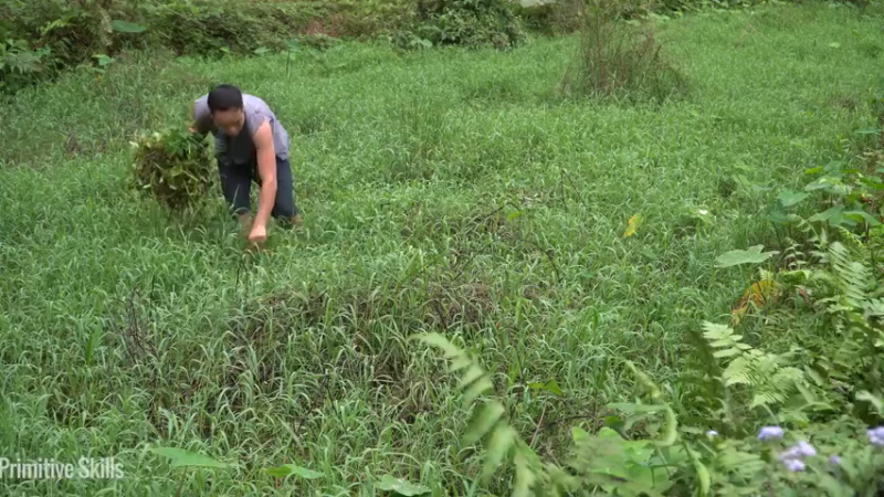 E68务农二季的稻子14【真人我的世界-空手发展-单人炼铁】