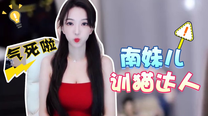训猫达人南妹儿