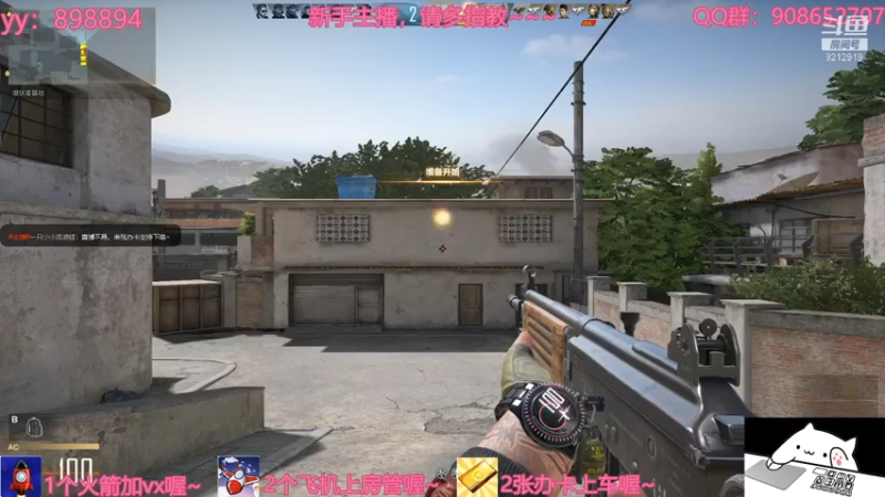 【2021-07-14 17点场】一只小小流浪猫：小菜鸟出没，请注意！！！