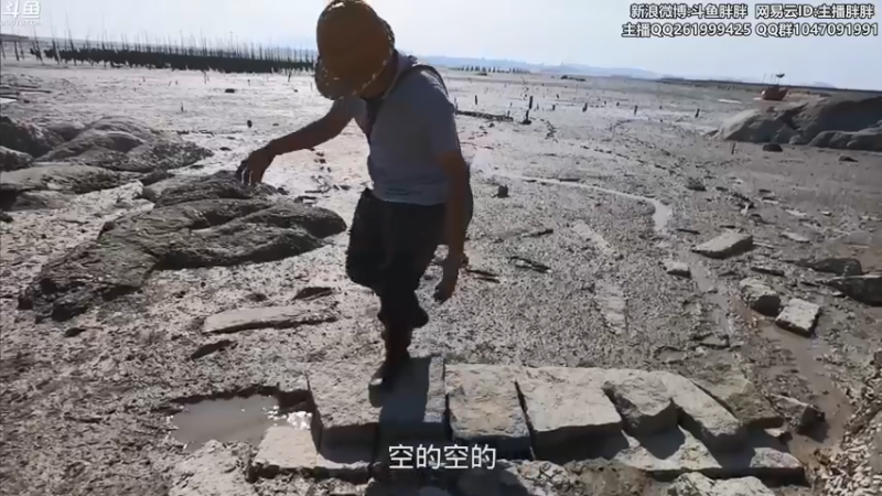 【2021-07-14 03点场】胖胖灬：胖胖OB：TES\RNG\EDG\韩服！