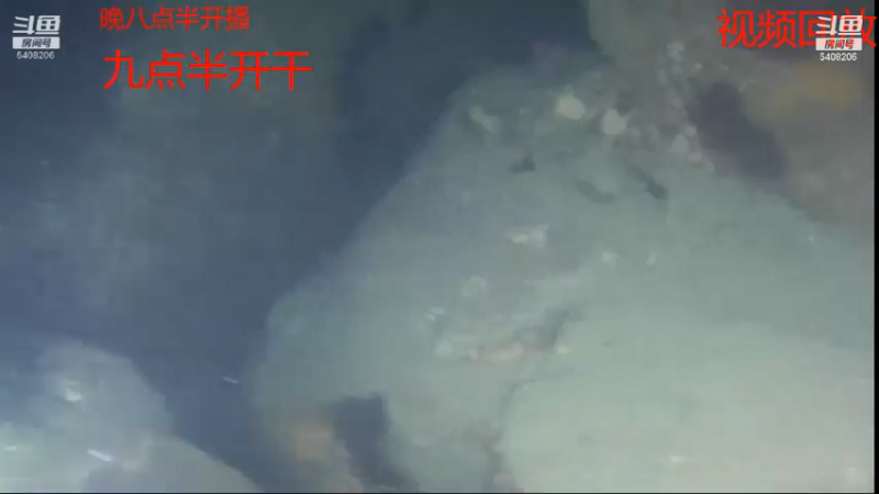 【2021-07-15 08点场】海道丶：恭喜 压压惊大哥喜提狠货！