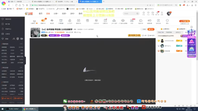 【2021-07-13 20点场】就叫cz吧：【cz】技术猪播/帮定级/上分实战教学