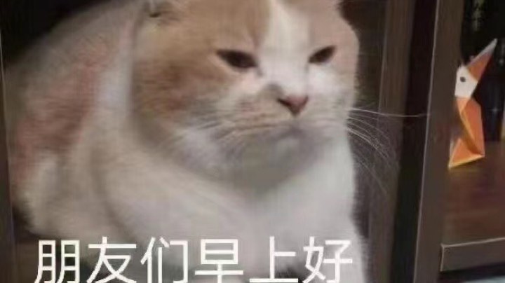 5分钟
