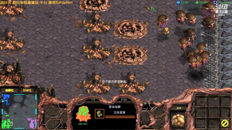 【2021-07-15 17点场】深辰S：下午随便玩会星际1