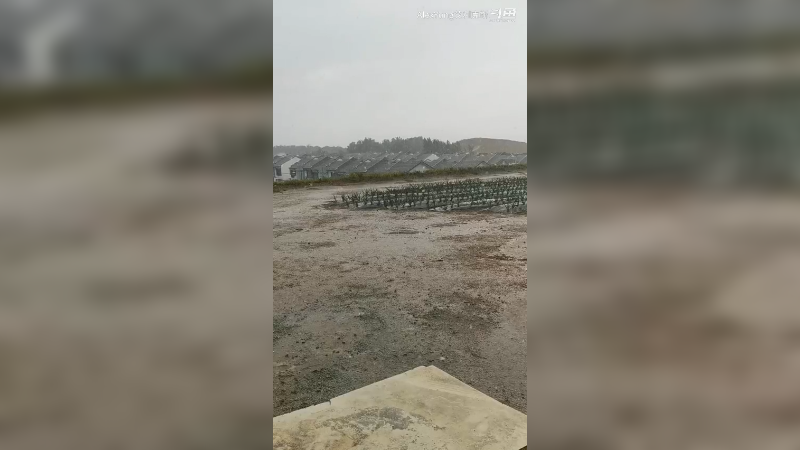 9-2种植完-下雨